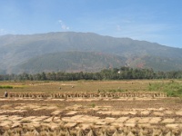 2009 China 859
